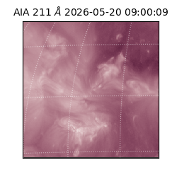 saia - 2026-05-20T09:00:09.631000