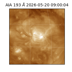saia - 2026-05-20T09:00:04.842000