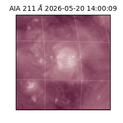 saia - 2026-05-20T14:00:09.624000