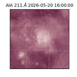saia - 2026-05-20T16:00:00.709000