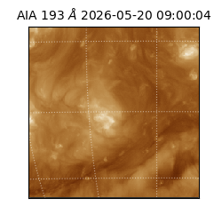 saia - 2026-05-20T09:00:04.842000