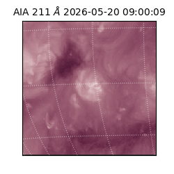 saia - 2026-05-20T09:00:09.631000
