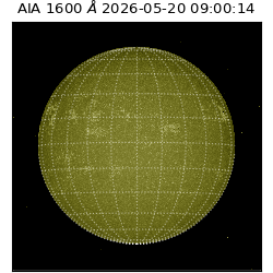 saia - 2026-05-20T09:00:14.122000