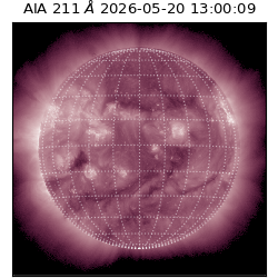 saia - 2026-05-20T13:00:09.629000