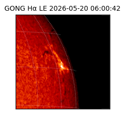 gong - 2026-05-20T06:00:42