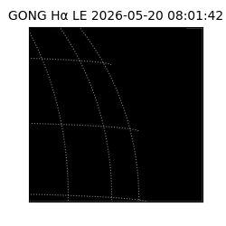 gong - 2026-05-20T08:01:42