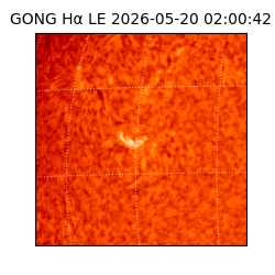 gong - 2026-05-20T02:00:42