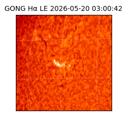 gong - 2026-05-20T03:00:42