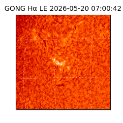 gong - 2026-05-20T07:00:42