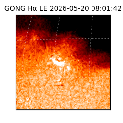 gong - 2026-05-20T08:01:42