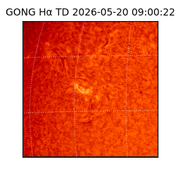 gong - 2026-05-20T09:00:22