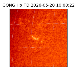 gong - 2026-05-20T10:00:22