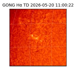 gong - 2026-05-20T11:00:22