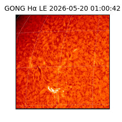 gong - 2026-05-20T01:00:42