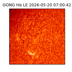gong - 2026-05-20T07:00:42