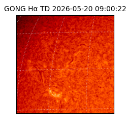 gong - 2026-05-20T09:00:22