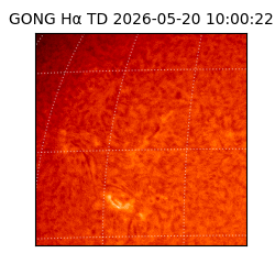 gong - 2026-05-20T10:00:22