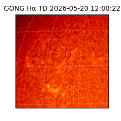 gong - 2026-05-20T12:00:22