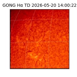 gong - 2026-05-20T14:00:22