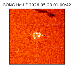 gong - 2026-05-20T01:00:42