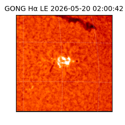 gong - 2026-05-20T02:00:42