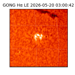 gong - 2026-05-20T03:00:42