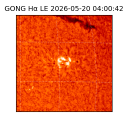 gong - 2026-05-20T04:00:42