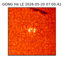 gong - 2026-05-20T07:00:42