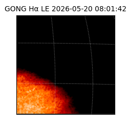 gong - 2026-05-20T08:01:42