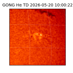 gong - 2026-05-20T10:00:22