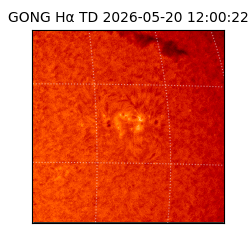 gong - 2026-05-20T12:00:22