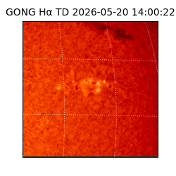 gong - 2026-05-20T14:00:22
