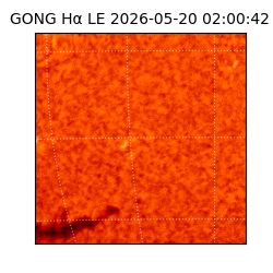 gong - 2026-05-20T02:00:42
