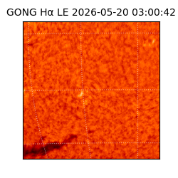 gong - 2026-05-20T03:00:42