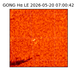 gong - 2026-05-20T07:00:42