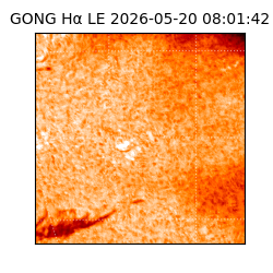 gong - 2026-05-20T08:01:42