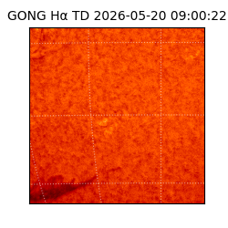 gong - 2026-05-20T09:00:22