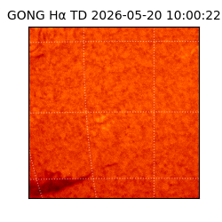 gong - 2026-05-20T10:00:22