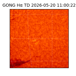 gong - 2026-05-20T11:00:22