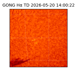 gong - 2026-05-20T14:00:22