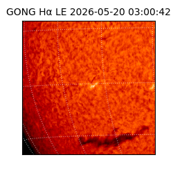 gong - 2026-05-20T03:00:42