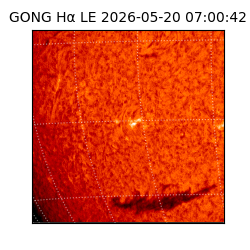 gong - 2026-05-20T07:00:42
