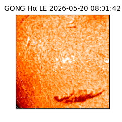 gong - 2026-05-20T08:01:42