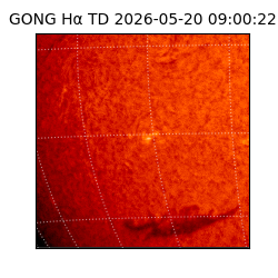 gong - 2026-05-20T09:00:22