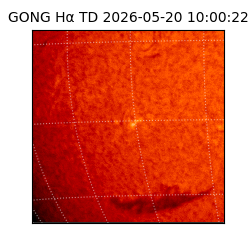 gong - 2026-05-20T10:00:22