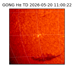 gong - 2026-05-20T11:00:22