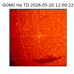 gong - 2026-05-20T12:00:22