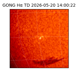 gong - 2026-05-20T14:00:22