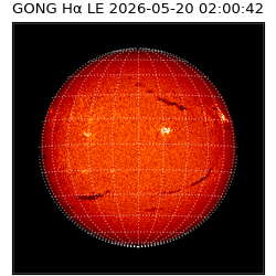 gong - 2026-05-20T02:00:42