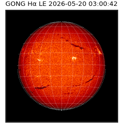 gong - 2026-05-20T03:00:42